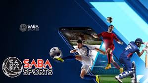 Khám phá các sảnh cá cược Thể Thao May88 